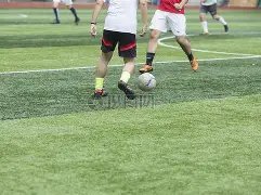 雄鹰逆风翱,主场荣耀能,否再续辉煌,球盟会链接,球盟会地址,球盟会官方平台,球盟会入口站点