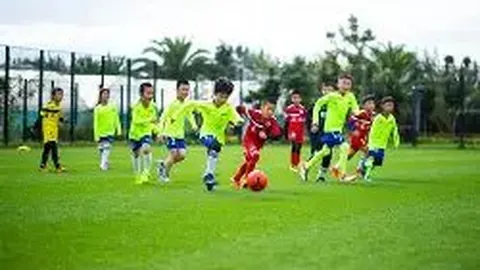 球盟会 产品 014857 z07