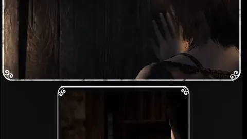 “维拉主场荣耀再续，英超战场海鸥迎挑战，逆境飞翔谁主沉浮？”